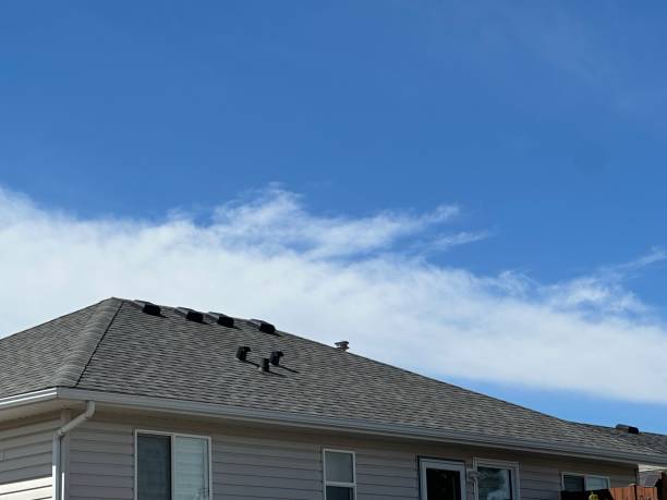 Best Roof Leak Repair  in Nome, AK